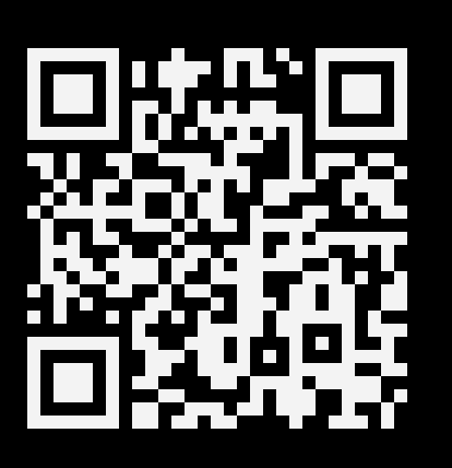 example QR Code in the terminal